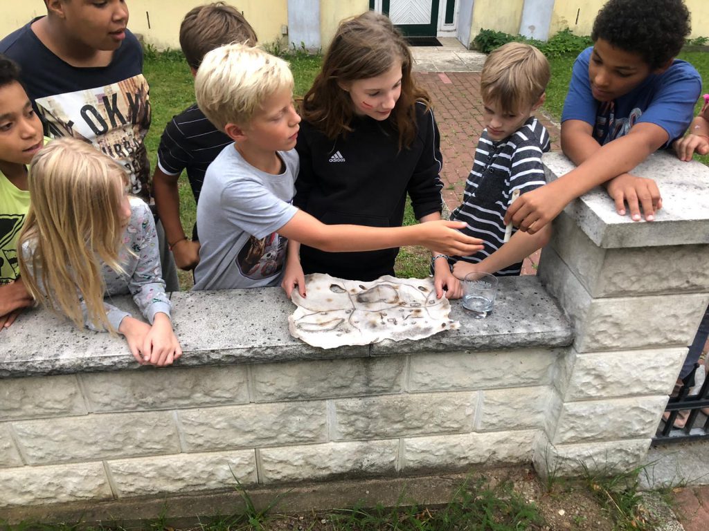 Mehrer Kinder mit einer angekohlten Schatzkarte.